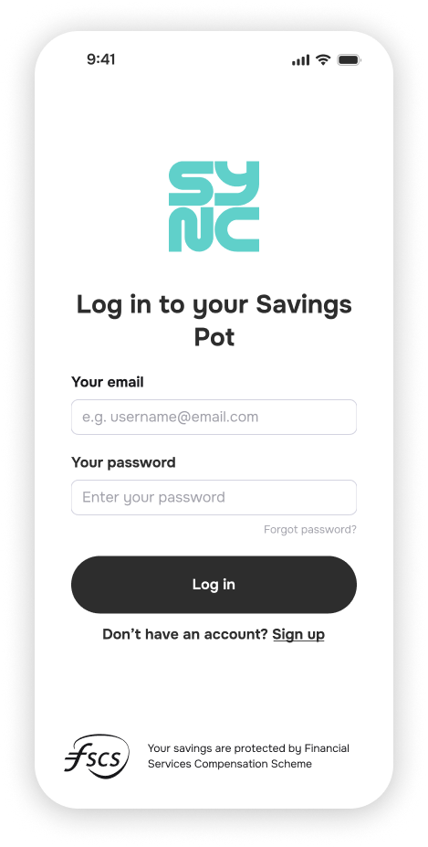 Password Log-in Screen